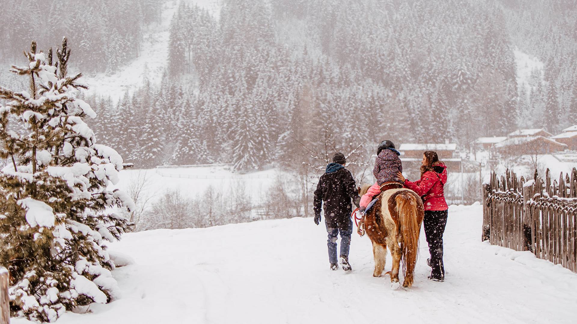 Familienhotel Huber ****ˢ Familienhotel Huber ****ˢ