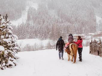 Familienhotel Huber ****ˢ Familienhotel Huber ****ˢ