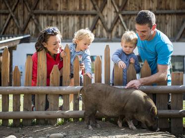Vacanze estive in Alto Adige: l’estate di una volta Vacanze estive in Alto Adige: l’estate di una volta