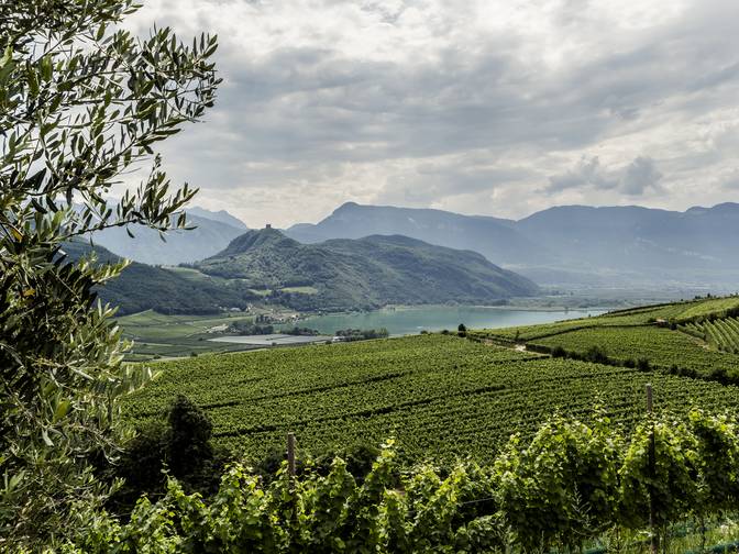 Holiday in South Tyrol with children – unforgettable Holiday in South Tyrol with children – unforgettable