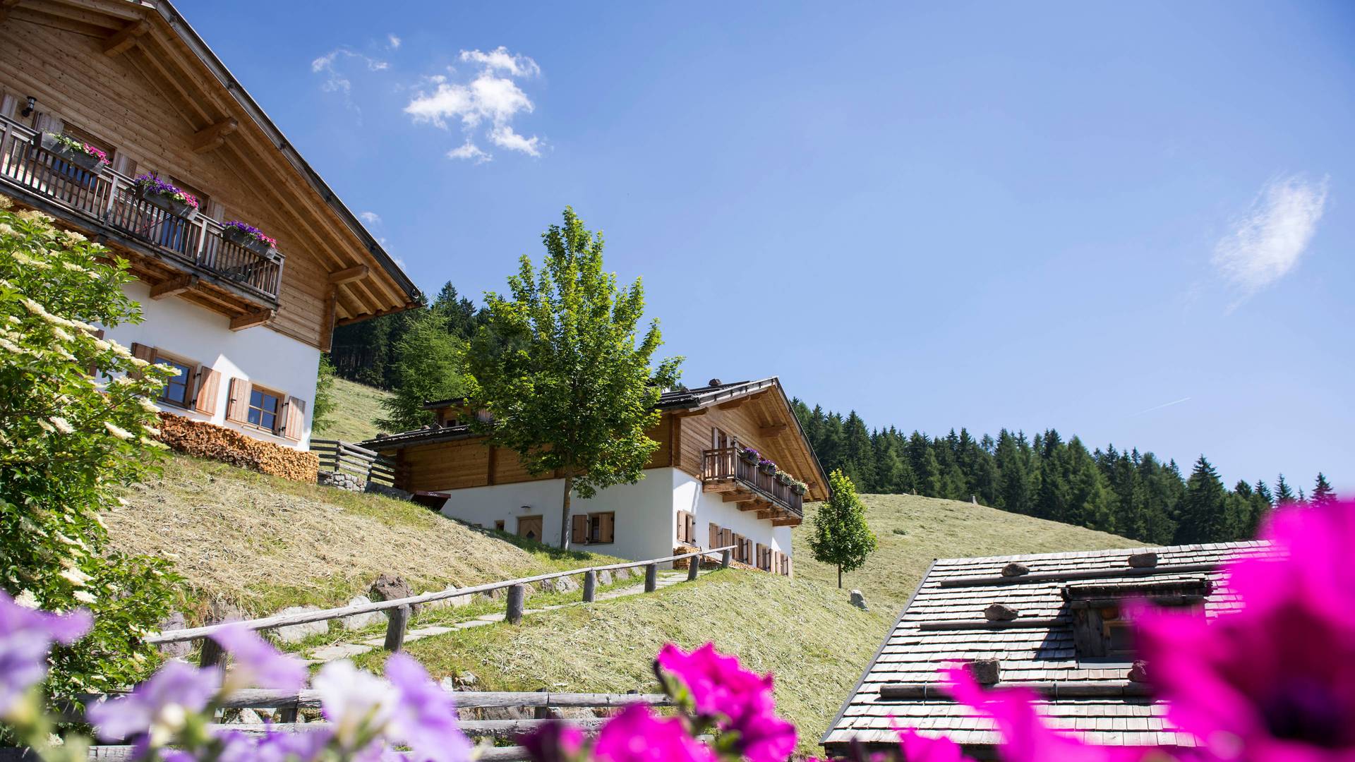 Almchalets Familienalm & Almchalets Taser Alm