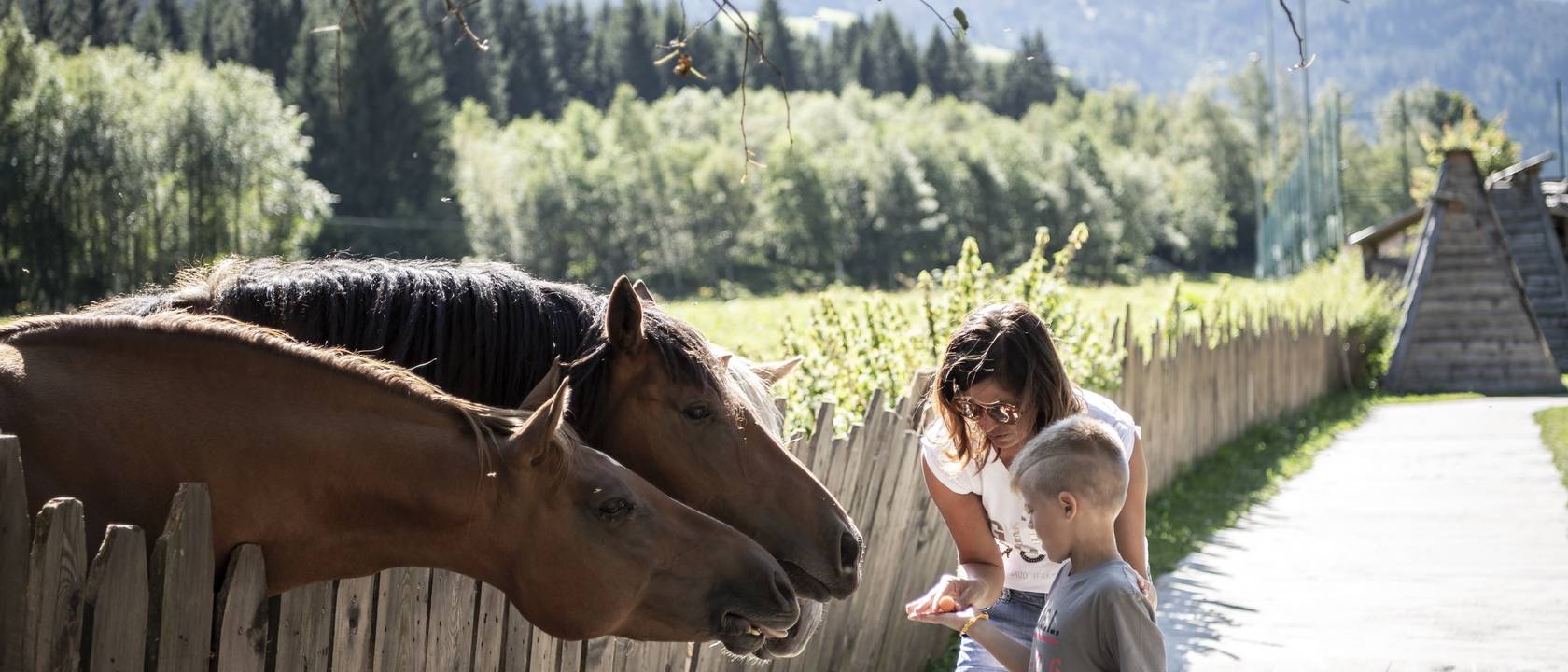 Select your favourite family experiences! Select your favourite family experiences!