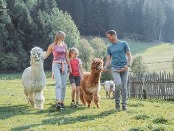 Familienhotel Huber ****ˢ Familienhotel Huber ****ˢ