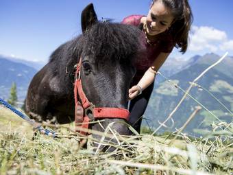 Familienalm & Almchalets Taser Alm Familienalm & Almchalets Taser Alm