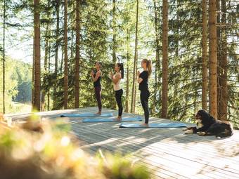 Familienalm & Almchalets Taser Alm Familienalm & Almchalets Taser Alm