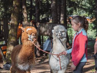 Familienhotel Huber ****ˢ Familienhotel Huber ****ˢ