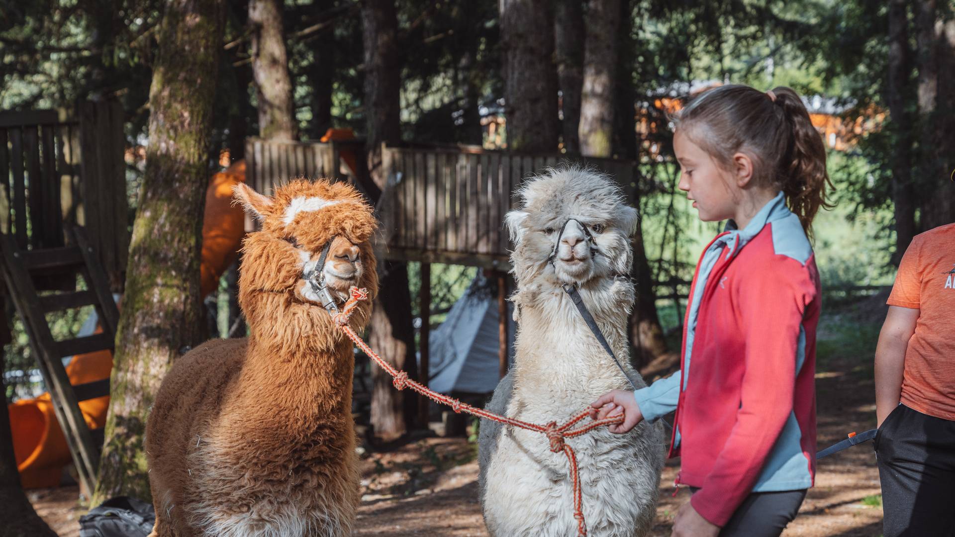 Familienhotel Huber ****ˢ Familienhotel Huber ****ˢ