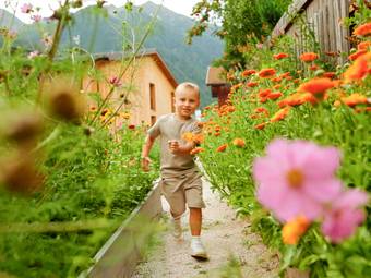 linara bio family hotel *** linara bio family hotel ***