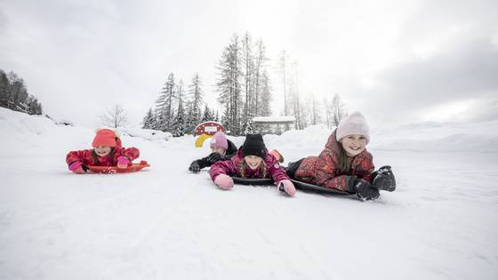 Winter activities for the whole family Winter activities for the whole family