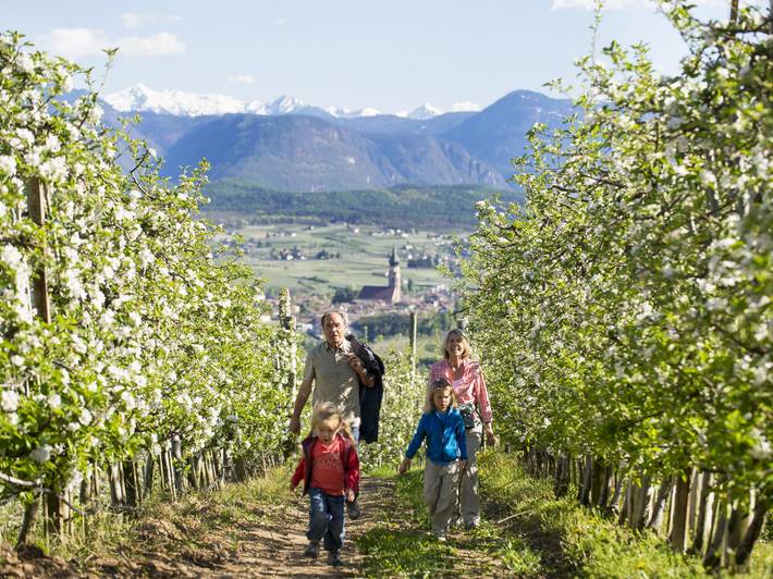 Escursioni a Bolzano vigneti per grandi e piccoli Escursioni a Bolzano vigneti per grandi e piccoli