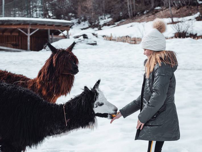 Petting zoo in South Tyrol – fluffy fun Petting zoo in South Tyrol – fluffy fun