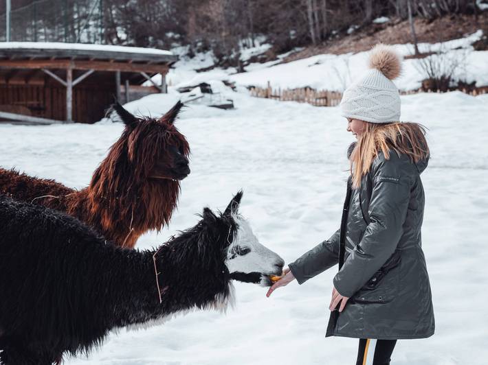 Fattoria per bambini nei Familienhotel: un sogno Fattoria per bambini nei Familienhotel: un sogno