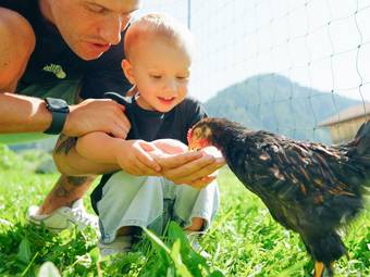 linara bio family hotel *** linara bio family hotel ***