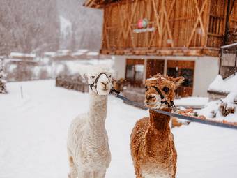 Familienhotel Huber ****ˢ Familienhotel Huber ****ˢ