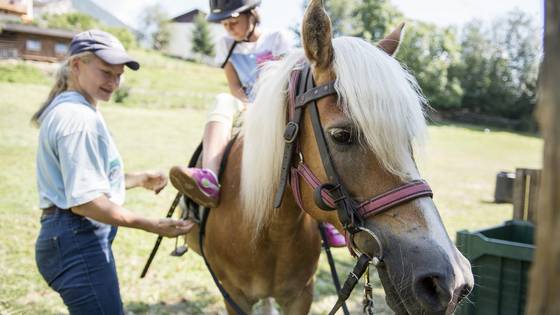 Wo Kinder Tiere entdecken Wo Kinder Tiere entdecken