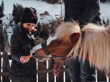 Family hotel with farm: a dream come true Family hotel with farm: a dream come true