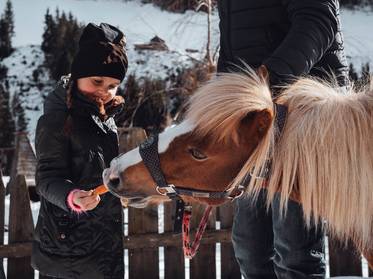 Familienhotel mit Bauernhof: ein Traum wird wahr Familienhotel mit Bauernhof: ein Traum wird wahr