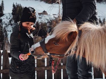 Fattoria per bambini nei Familienhotel: un sogno Fattoria per bambini nei Familienhotel: un sogno