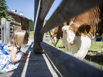 Post Alpina - Family Mountain Chalets ****ˢ Post Alpina - Family Mountain Chalets ****ˢ