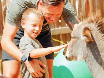 linara bio family hotel *** linara bio family hotel ***