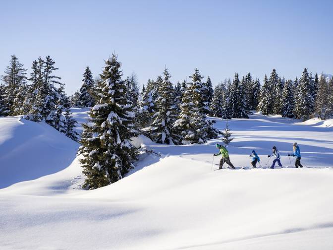 Family hotel Alto Adige: the happy family places! Family hotel Alto Adige: the happy family places!