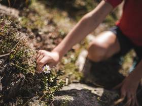 Holiday in the mountains: Discover the nature parks with children. Holiday in the mountains: Discover the nature parks with children.