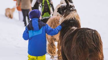 Das Familienhotel in Antholz, dem unberührten Naturparadies Das Familienhotel in Antholz, dem unberührten Naturparadies