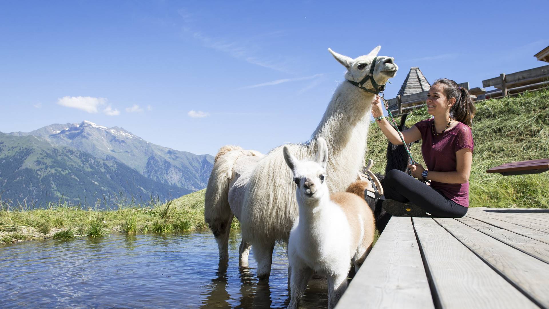 Familienalm & Almchalets Taser Alm Familienalm & Almchalets Taser Alm