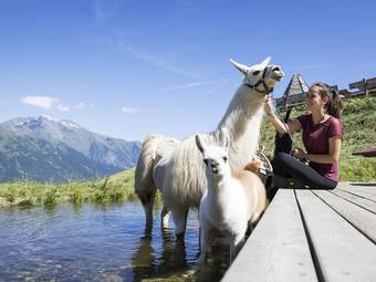 Familienalm & Almchalets Taser Alm Familienalm & Almchalets Taser Alm
