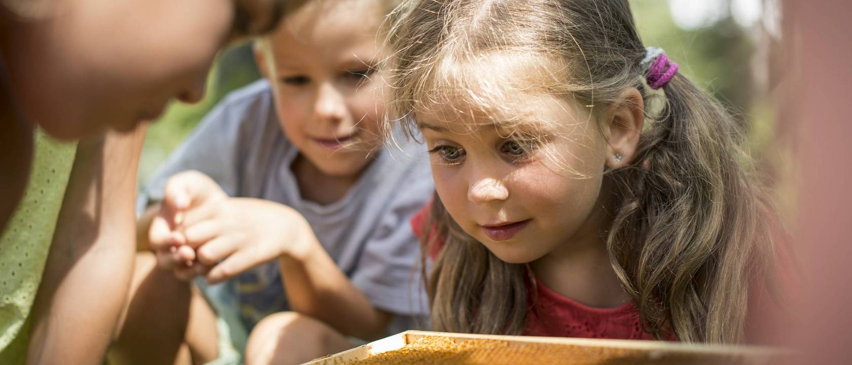 Our children’s programme for little explorers Our children’s programme for little explorers