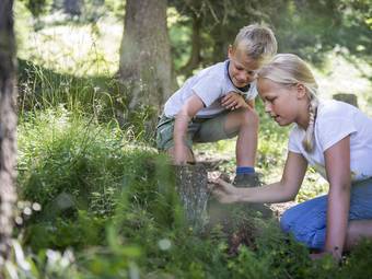Familienalm & Almchalets Taser Alm Familienalm & Almchalets Taser Alm