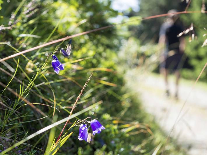 Ein Family-Hotel an der Plose bei Brixen Ein Family-Hotel an der Plose bei Brixen