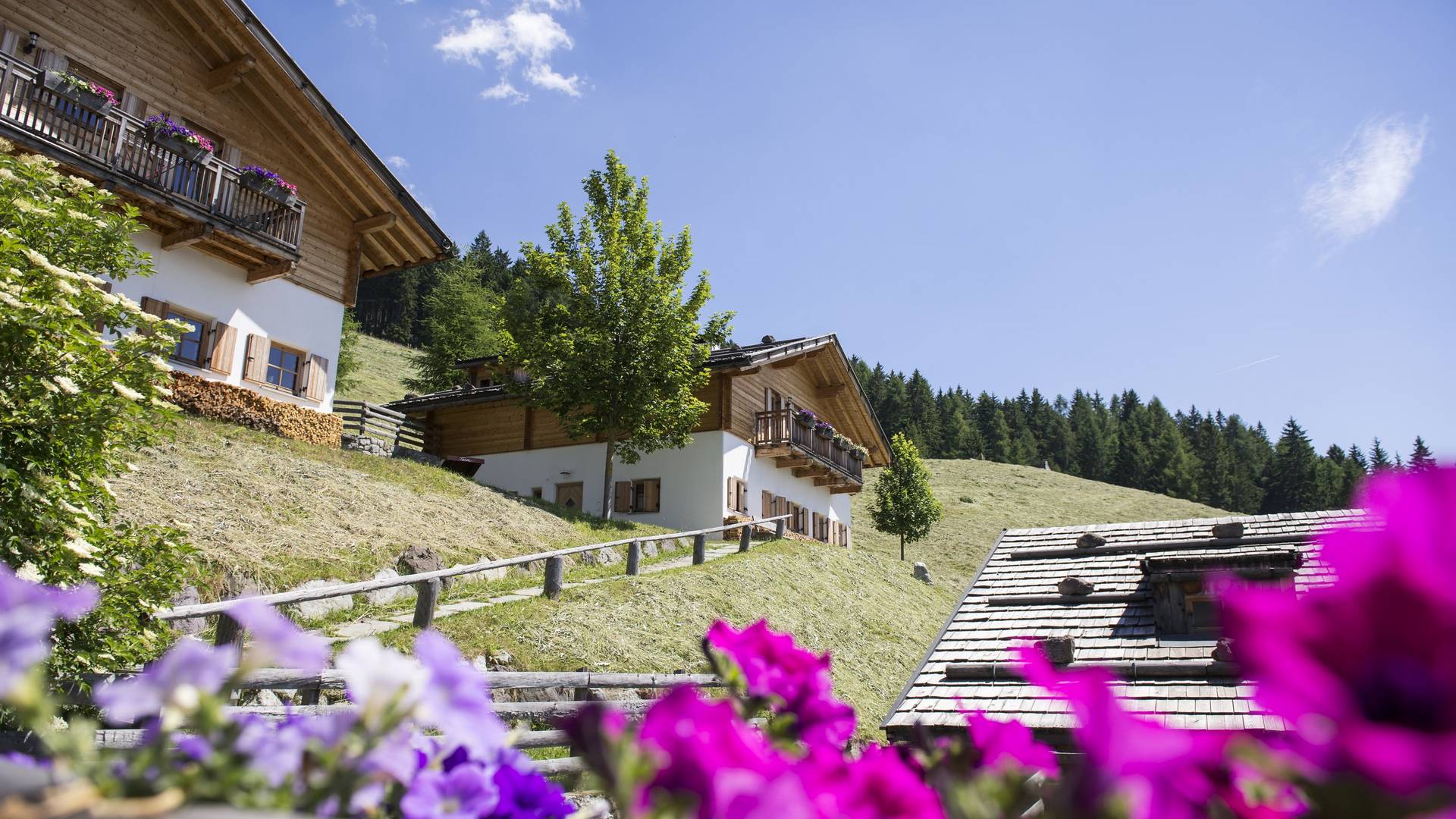 Familienalm & Almchalets Taser Alm Familienalm & Almchalets Taser Alm