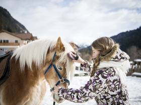 Family hotel Alto Adige: the happy family places! Family hotel Alto Adige: the happy family places!