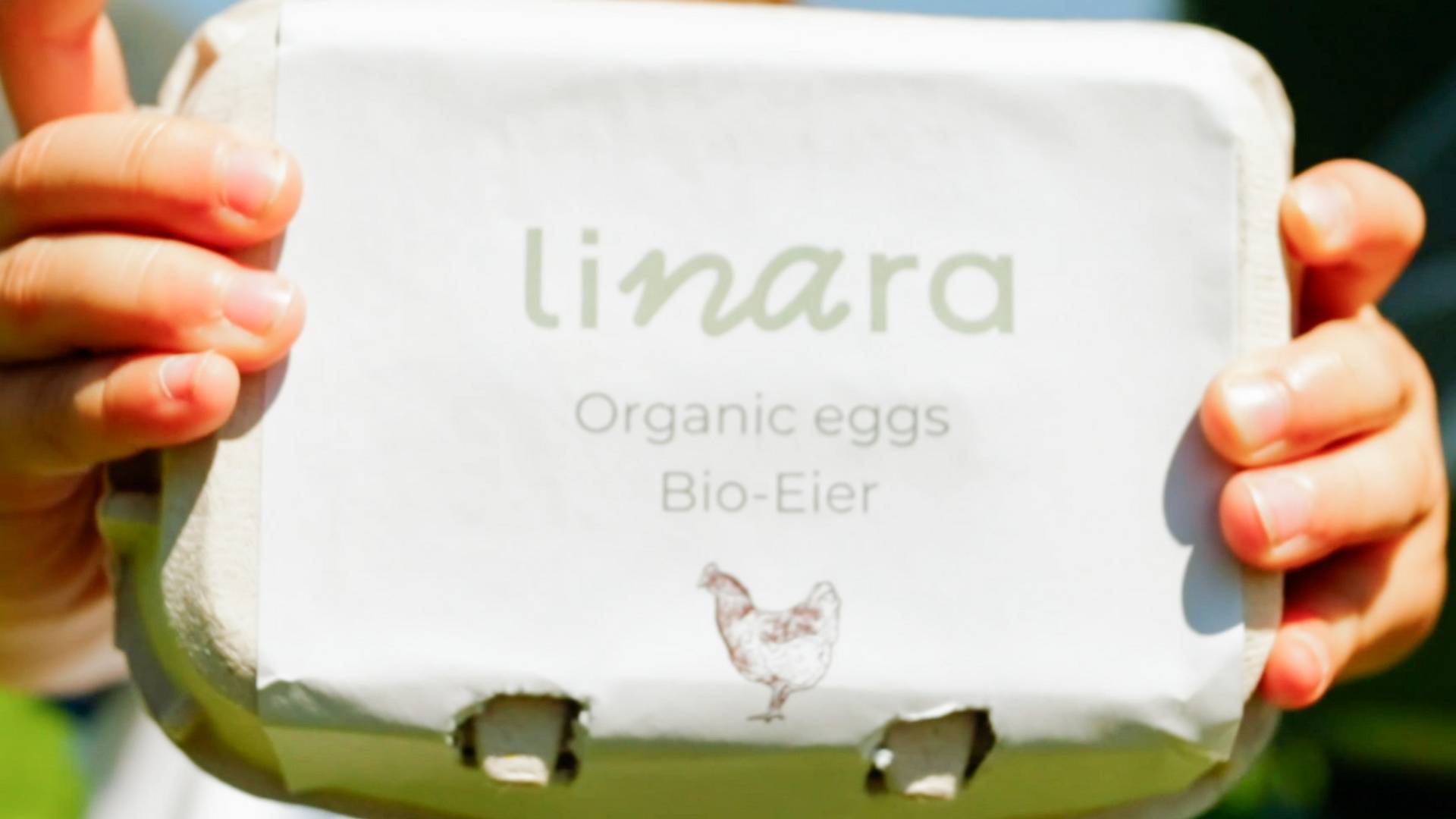 linara bio family hotel *** linara bio family hotel ***