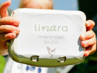 linara bio family hotel *** linara bio family hotel ***