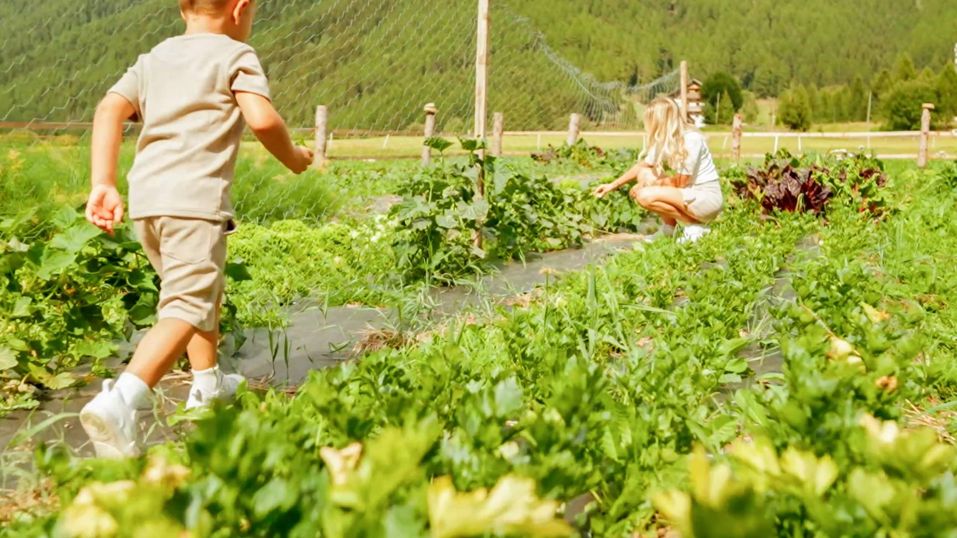 linara bio family hotel *** linara bio family hotel ***
