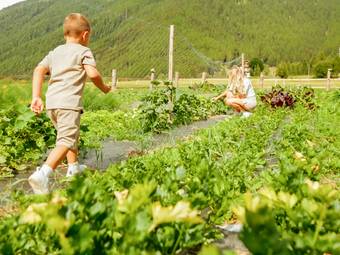 linara bio family hotel *** linara bio family hotel ***