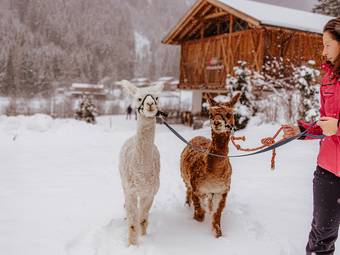 Familienhotel Huber ****ˢ Familienhotel Huber ****ˢ