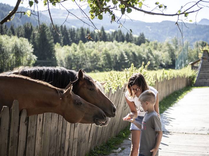 A cavallo attraverso Bolzano e vigneti A cavallo attraverso Bolzano e vigneti