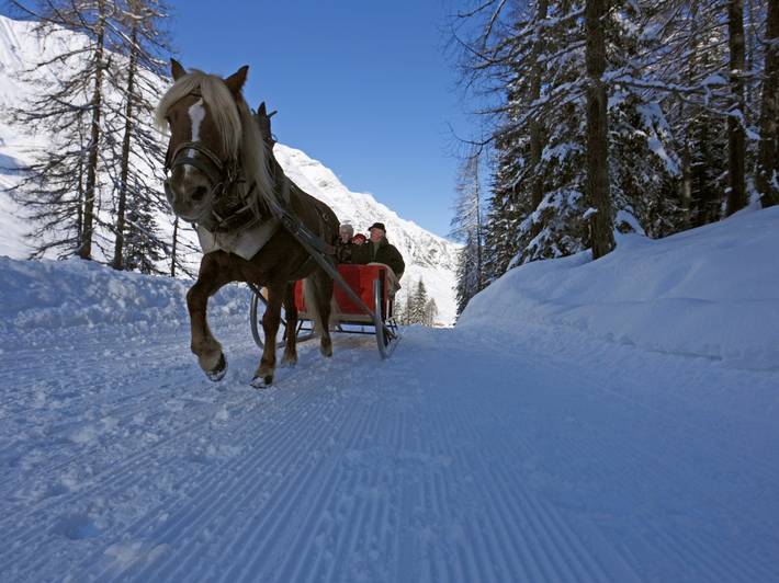 Bei einer Pferdeschlittenfahrt Südtirol entdecken Bei einer Pferdeschlittenfahrt Südtirol entdecken