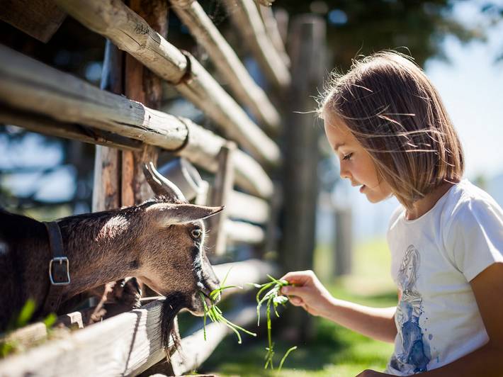 Fattoria per bambini nei Familienhotel: un sogno Fattoria per bambini nei Familienhotel: un sogno