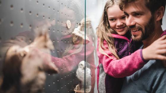 Educational fun on rainy November days Educational fun on rainy November days