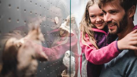 Tips for family holidays. Tips by your hosts. Tips for family holidays. Tips by your hosts.