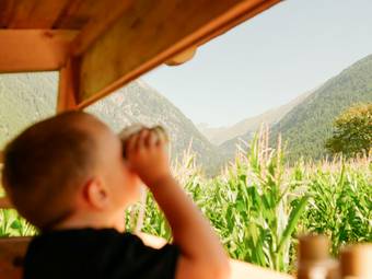 linara bio family hotel *** linara bio family hotel ***