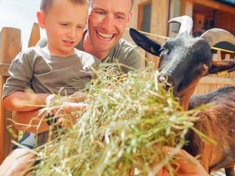 linara bio family hotel *** linara bio family hotel ***
