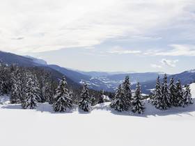 The family hotel in Vals: made for children The family hotel in Vals: made for children