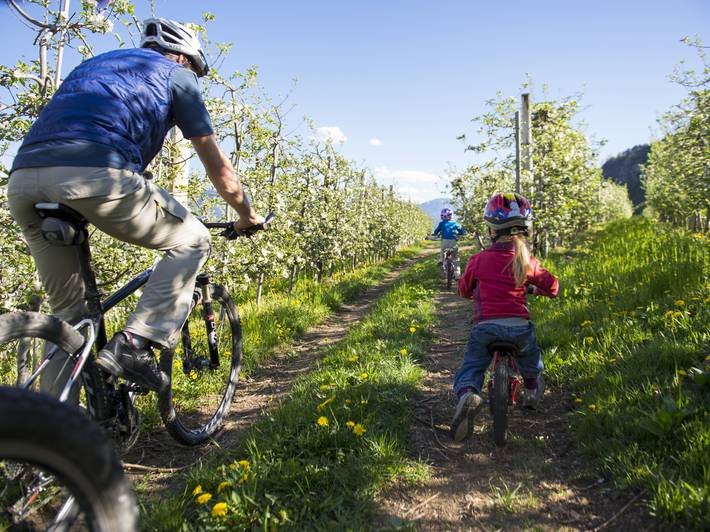 Radurlaub in Südtirol: ab in den Süden! Radurlaub in Südtirol: ab in den Süden!