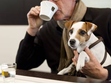 Familienhotel: Mit Hund in den Urlaub Familienhotel: Mit Hund in den Urlaub