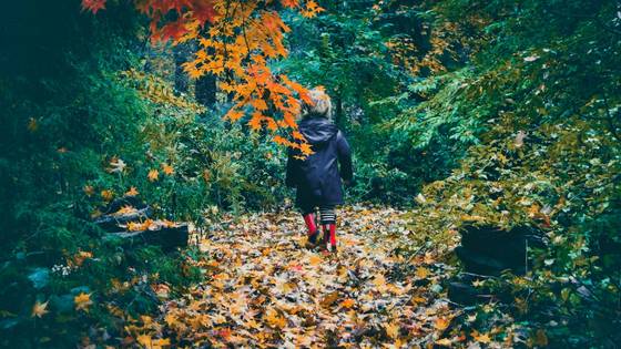 Discovering autumn Discovering autumn